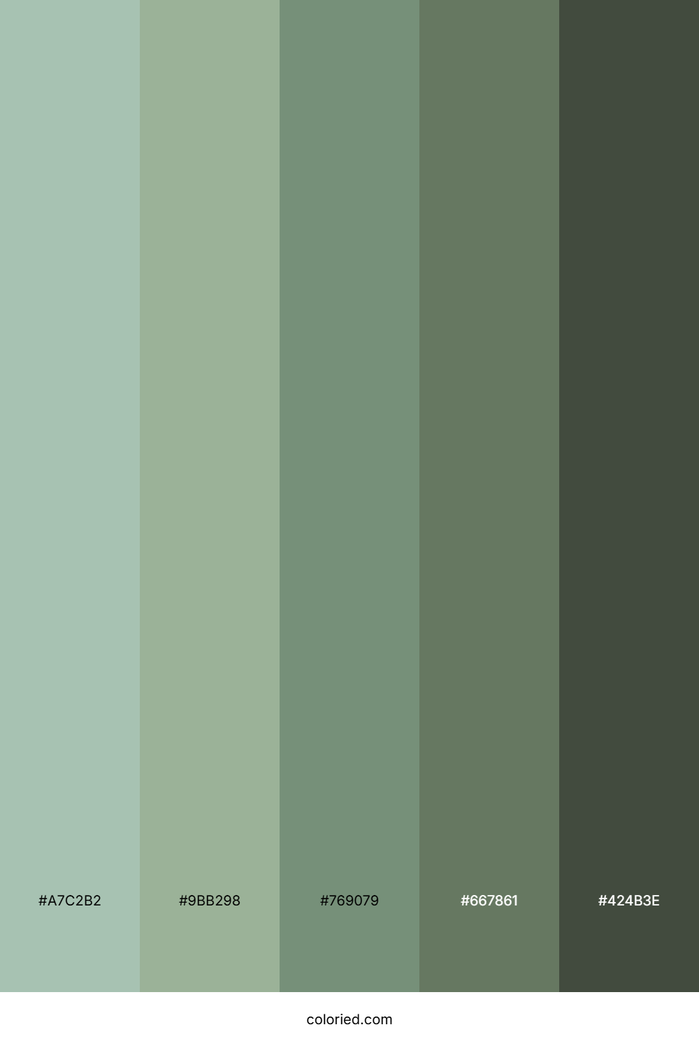 Soft Sage Retreat Color Palette