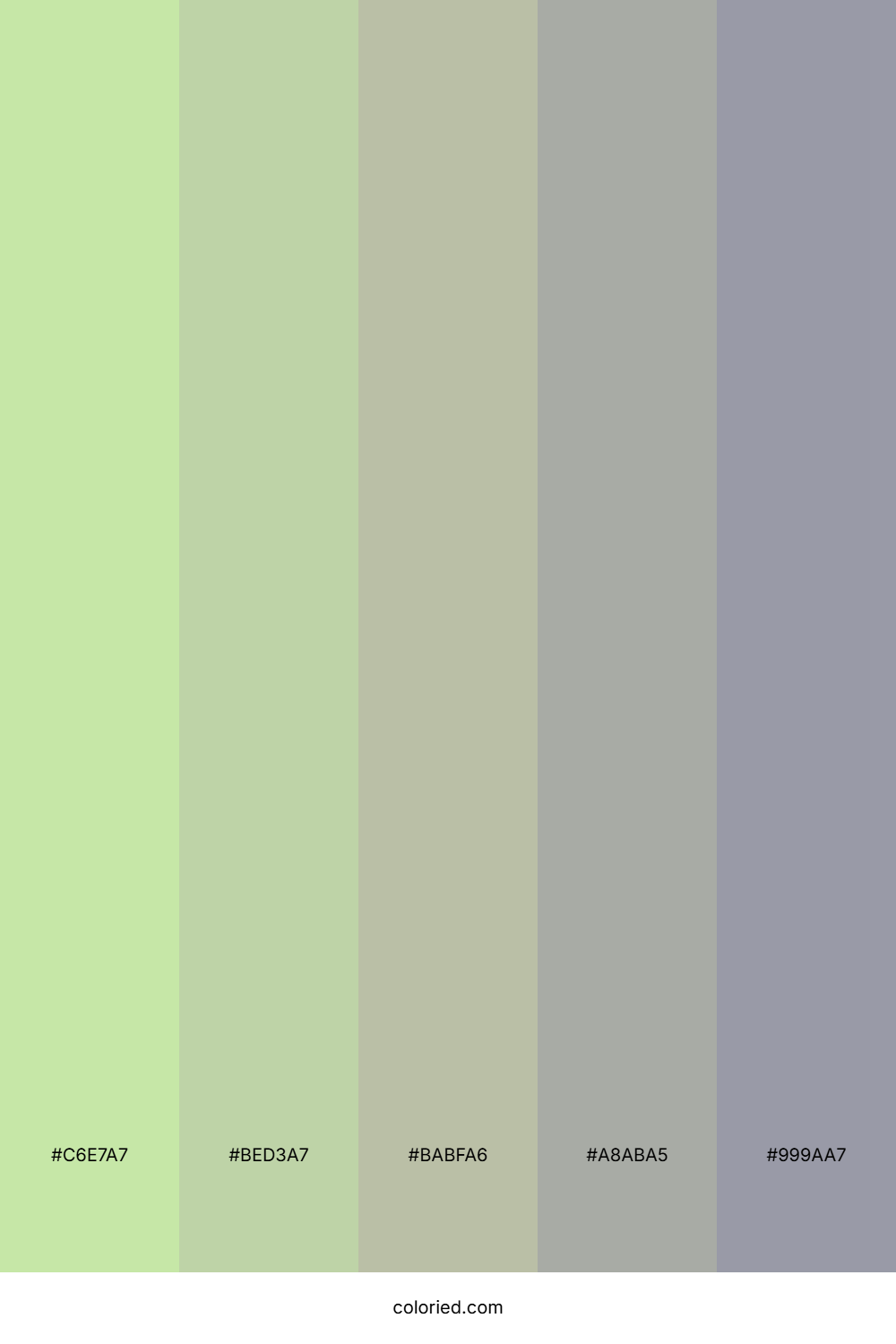Soft Sage Whisper Color Palette