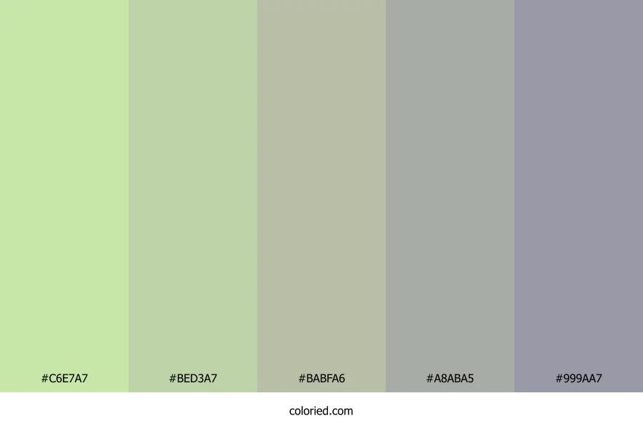 Soft Sage Whisper Color Palette