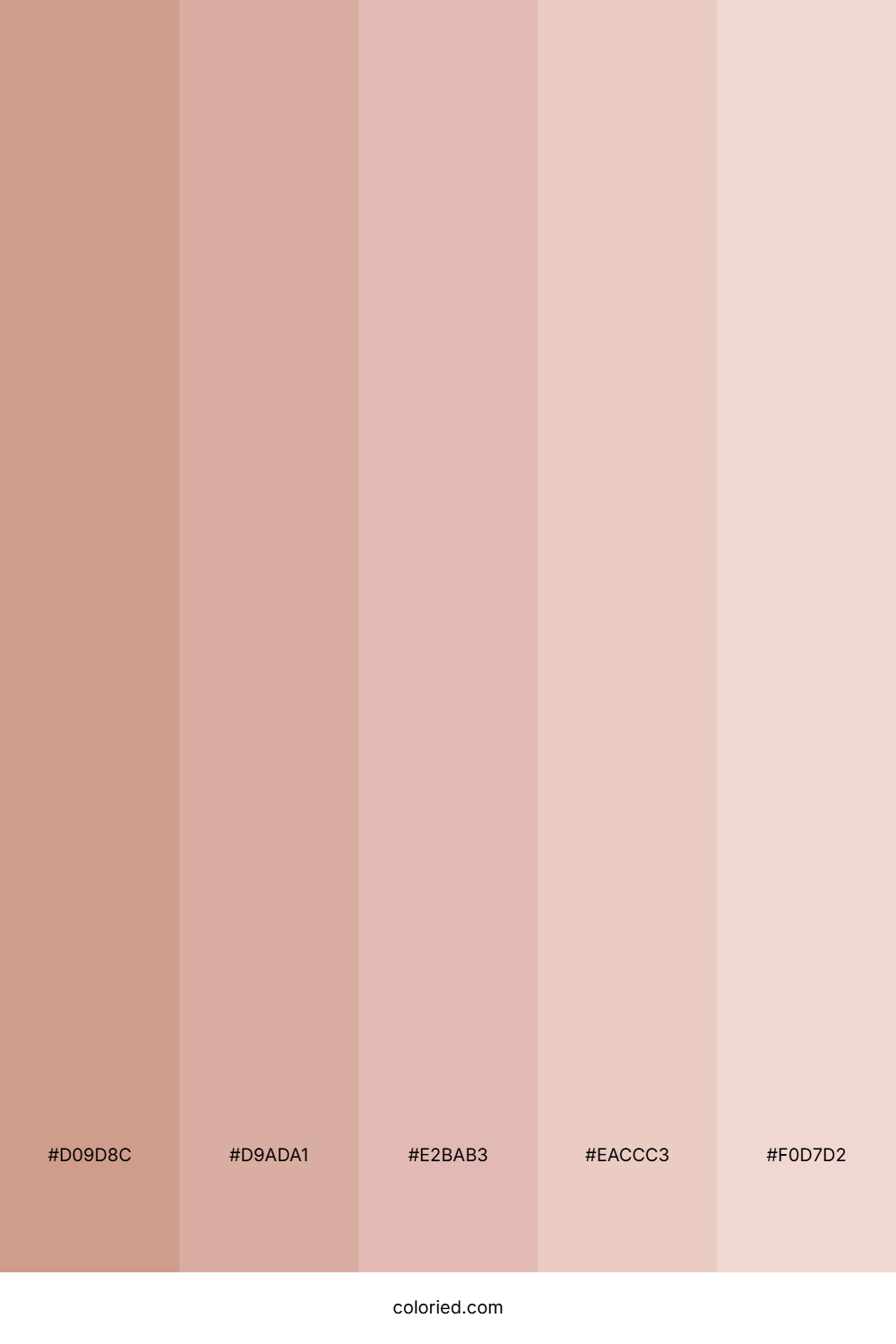 Soft Sand And Blush Color Palette
