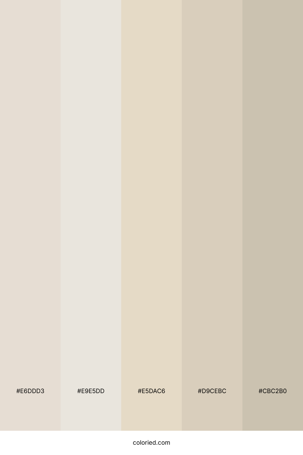 Soft Sandstone Neutral Color Palette