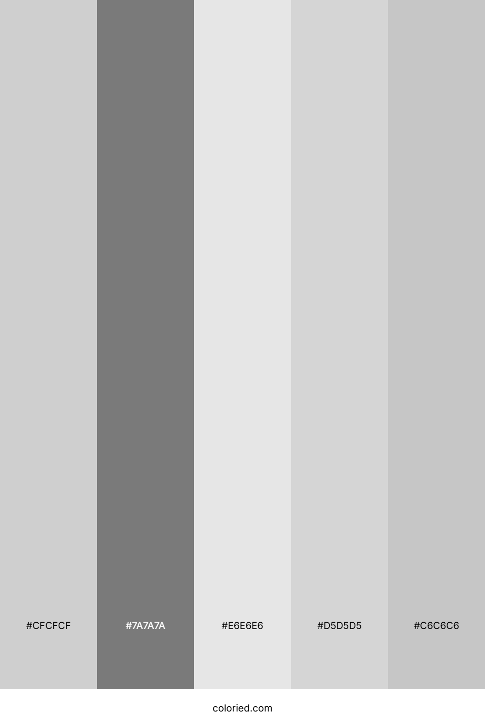 Soft Silver and Charcoal Color Palette