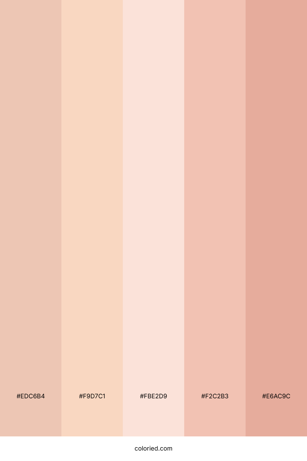 Soft Skin and Peach Color Palette