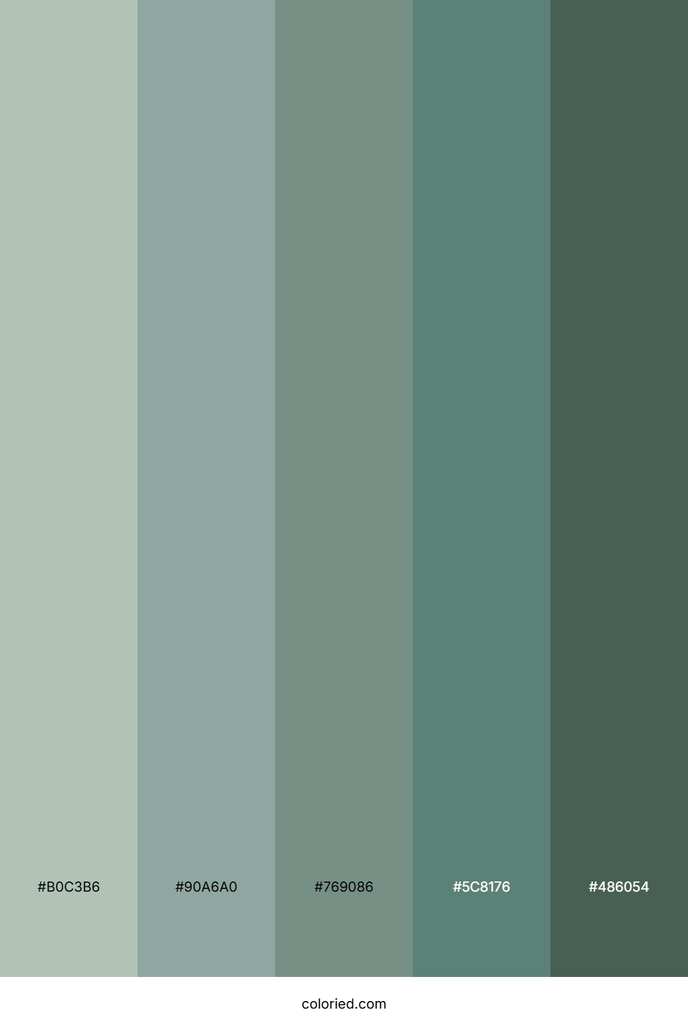 Soft Teal and Slate Color Palette