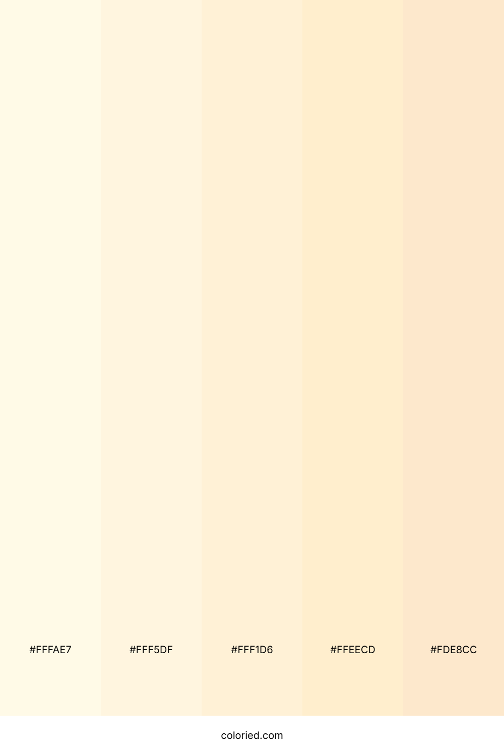 Soft Vanilla Cream Palette