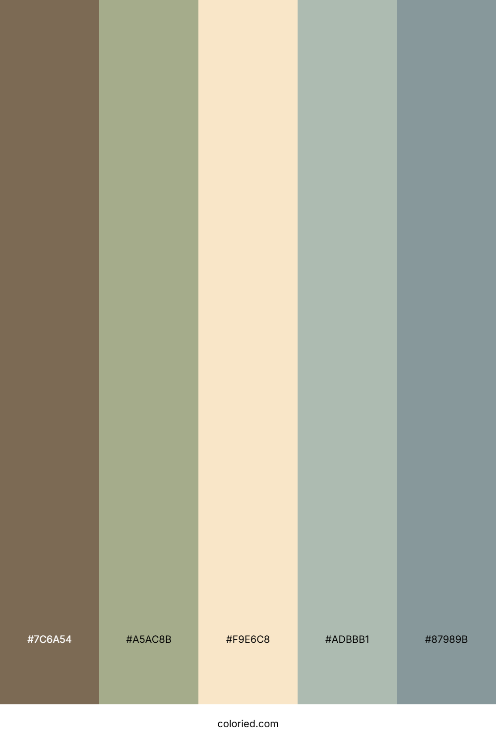 Soft Walnut Meadow Palette