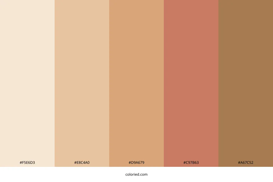 Soft Warm Color Palette