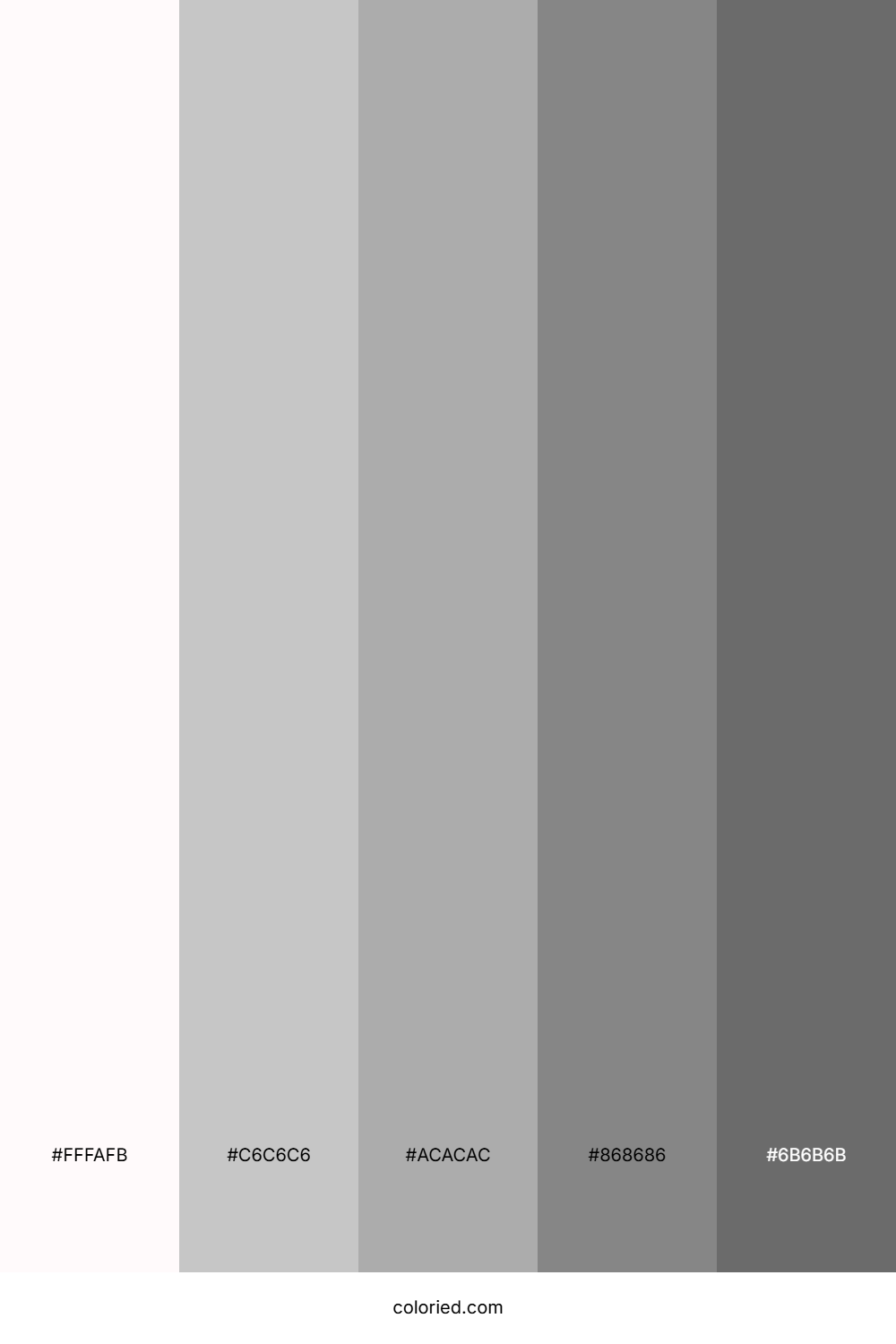 Soft White and Stone Gray Color Palette