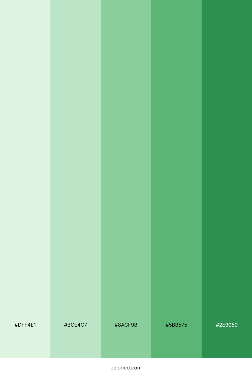 Soothing Greens Color Palette