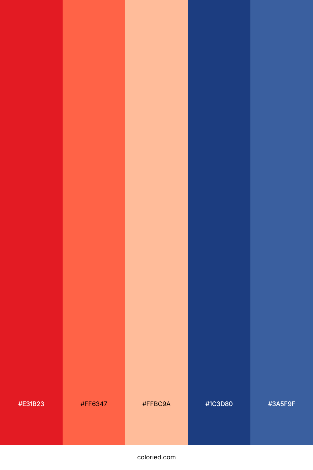 Spider Man Color Palette