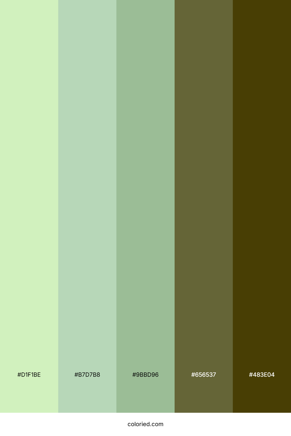 Spring Fern Hollow Color Palette