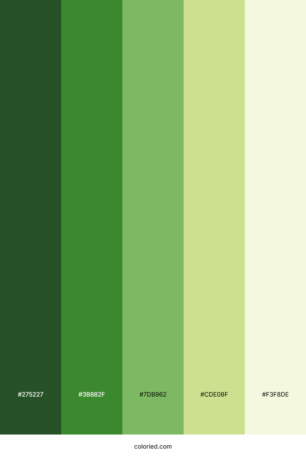 Spring Forest Growth Color Palette