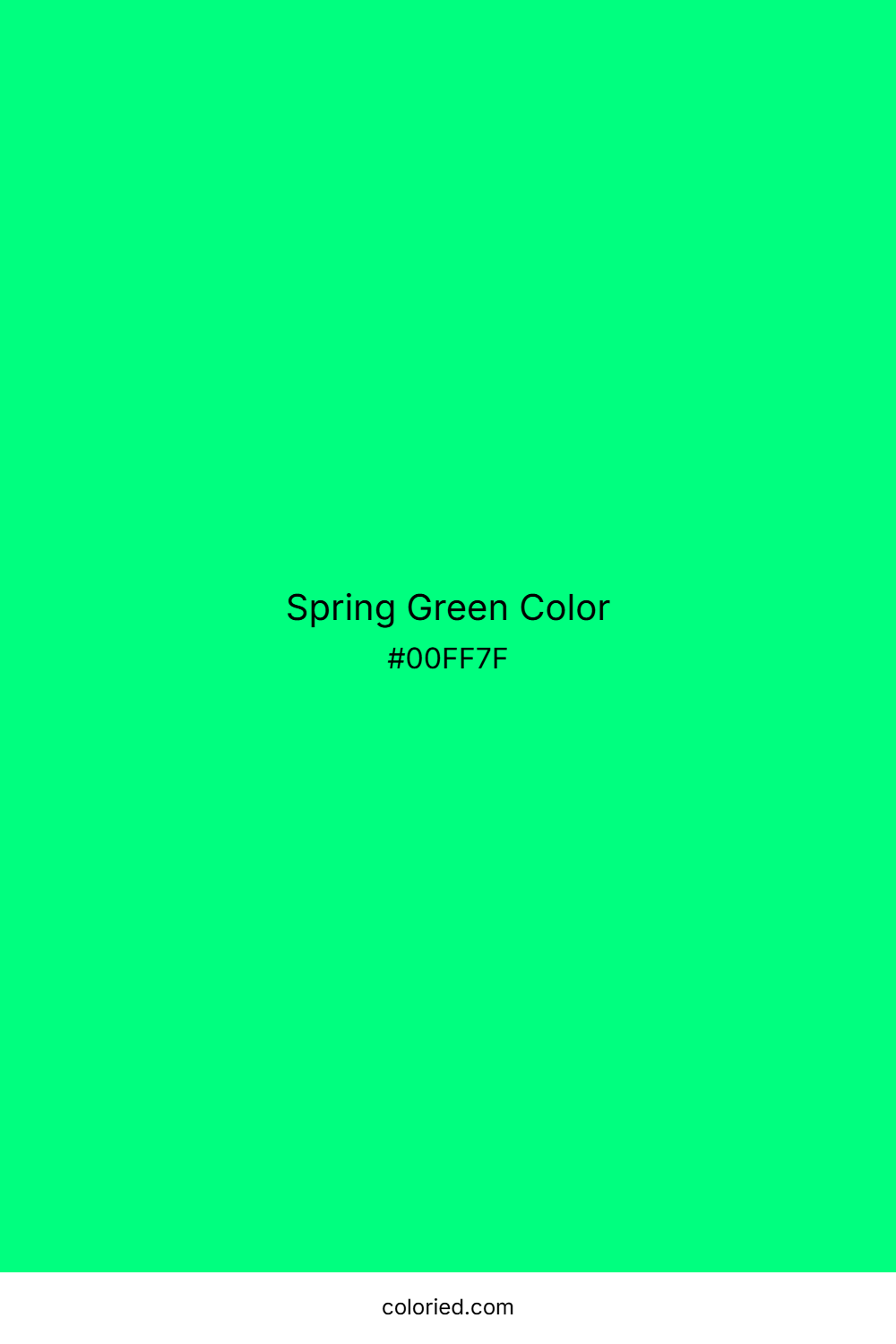 Spring Green Color