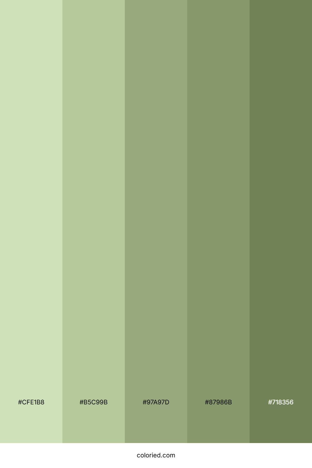 Spring Herb Garden Palette