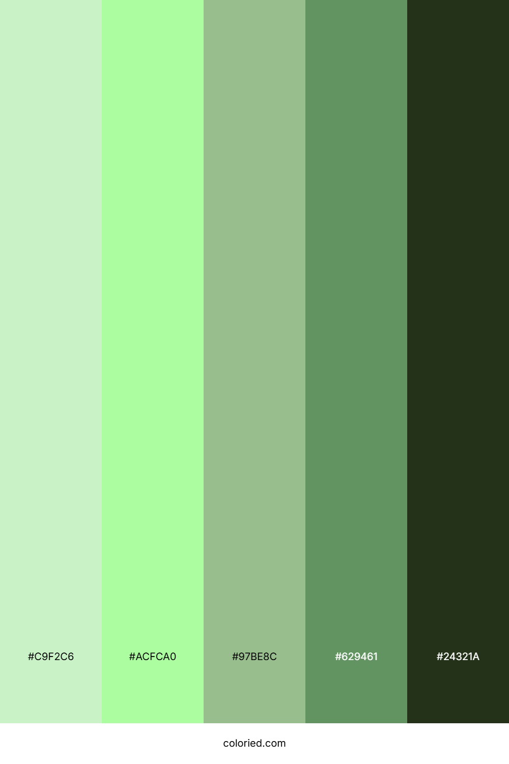 Spring Leaf Hollow Color Palette