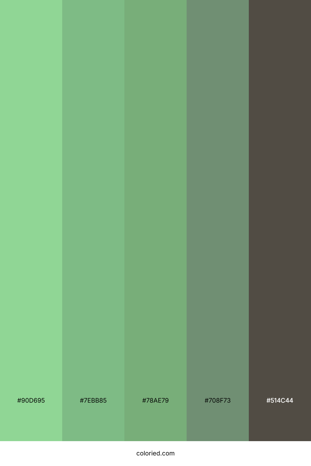 Spring Meadow Fern Palette