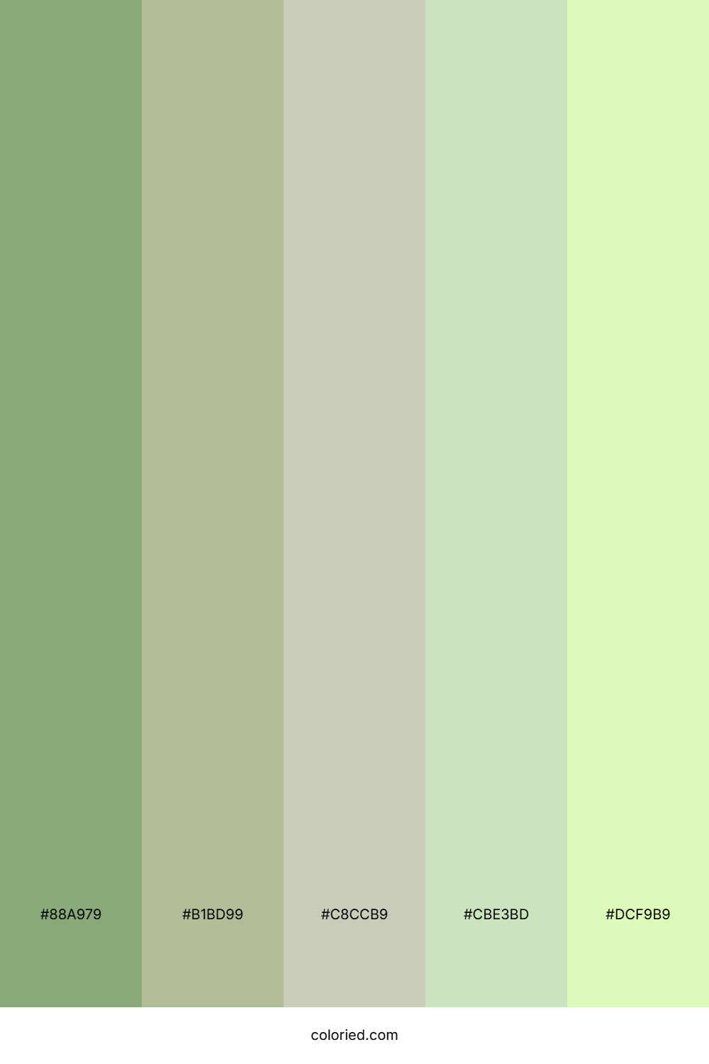 Spring Meadow Light Color Palette