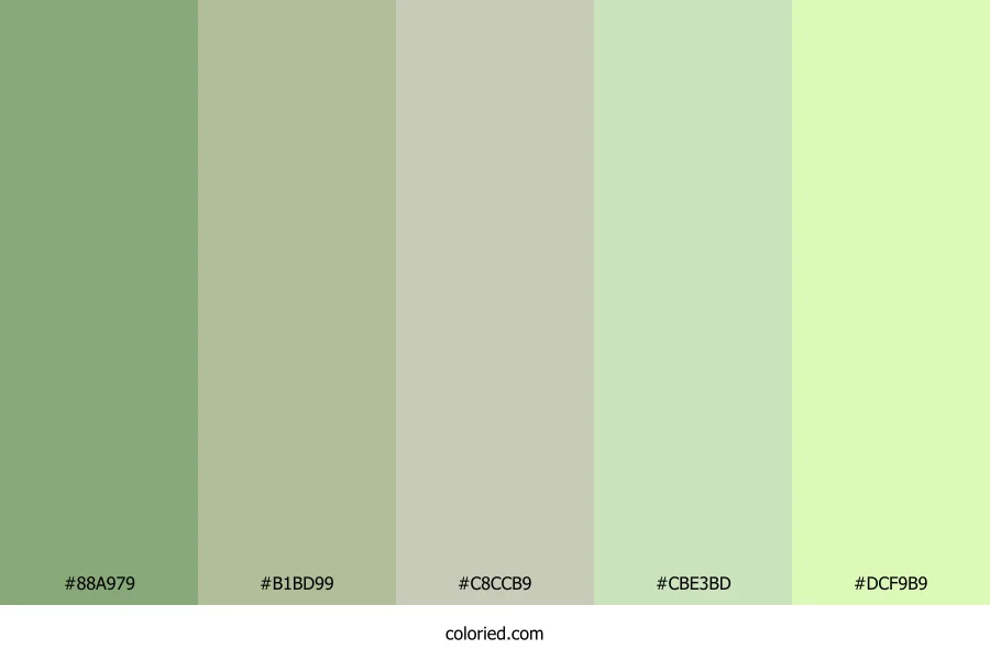 Spring Meadow Light Color Palette