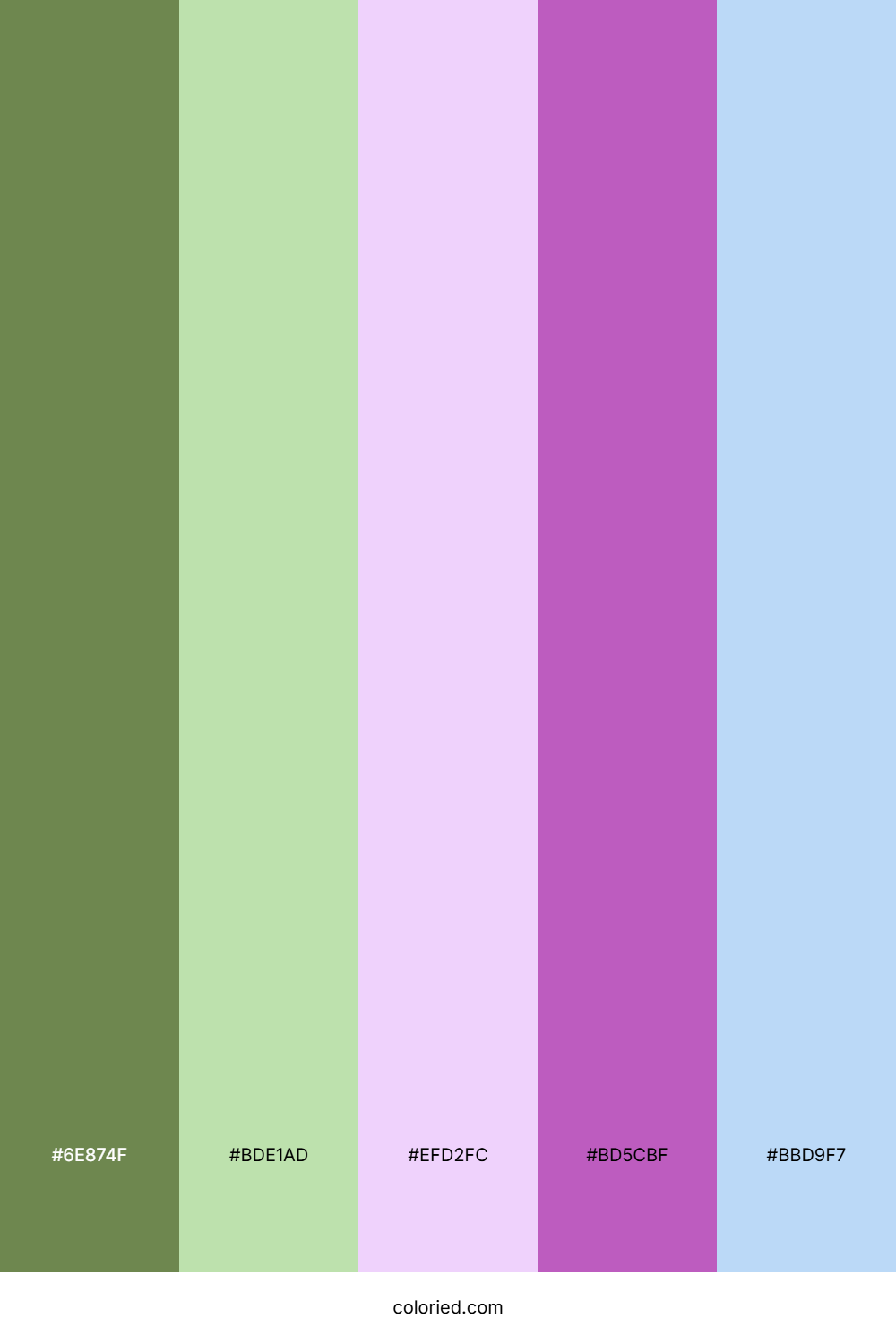 Spring Meadow Orchid Palette
