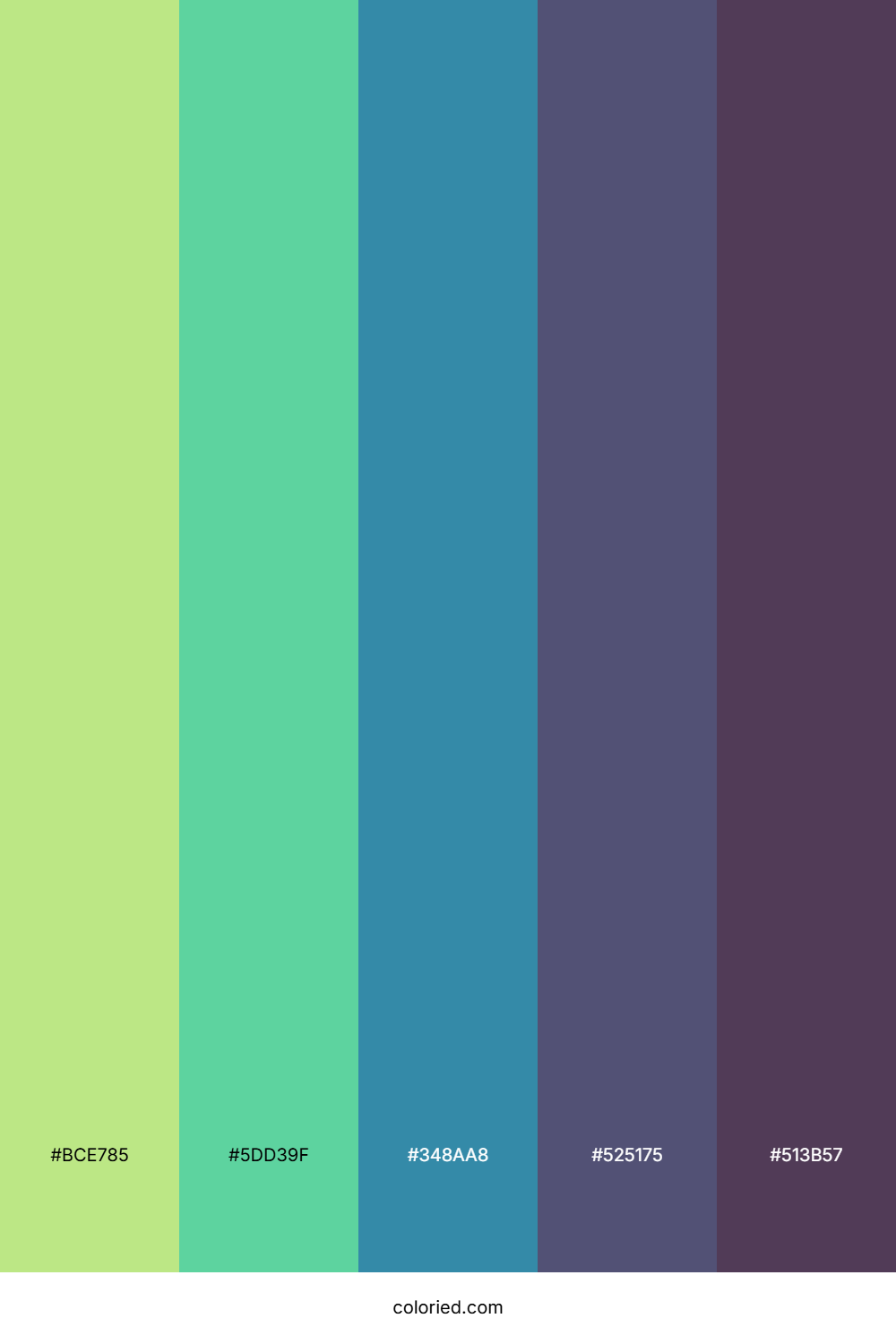 Spring Meadow Stream Color Palette