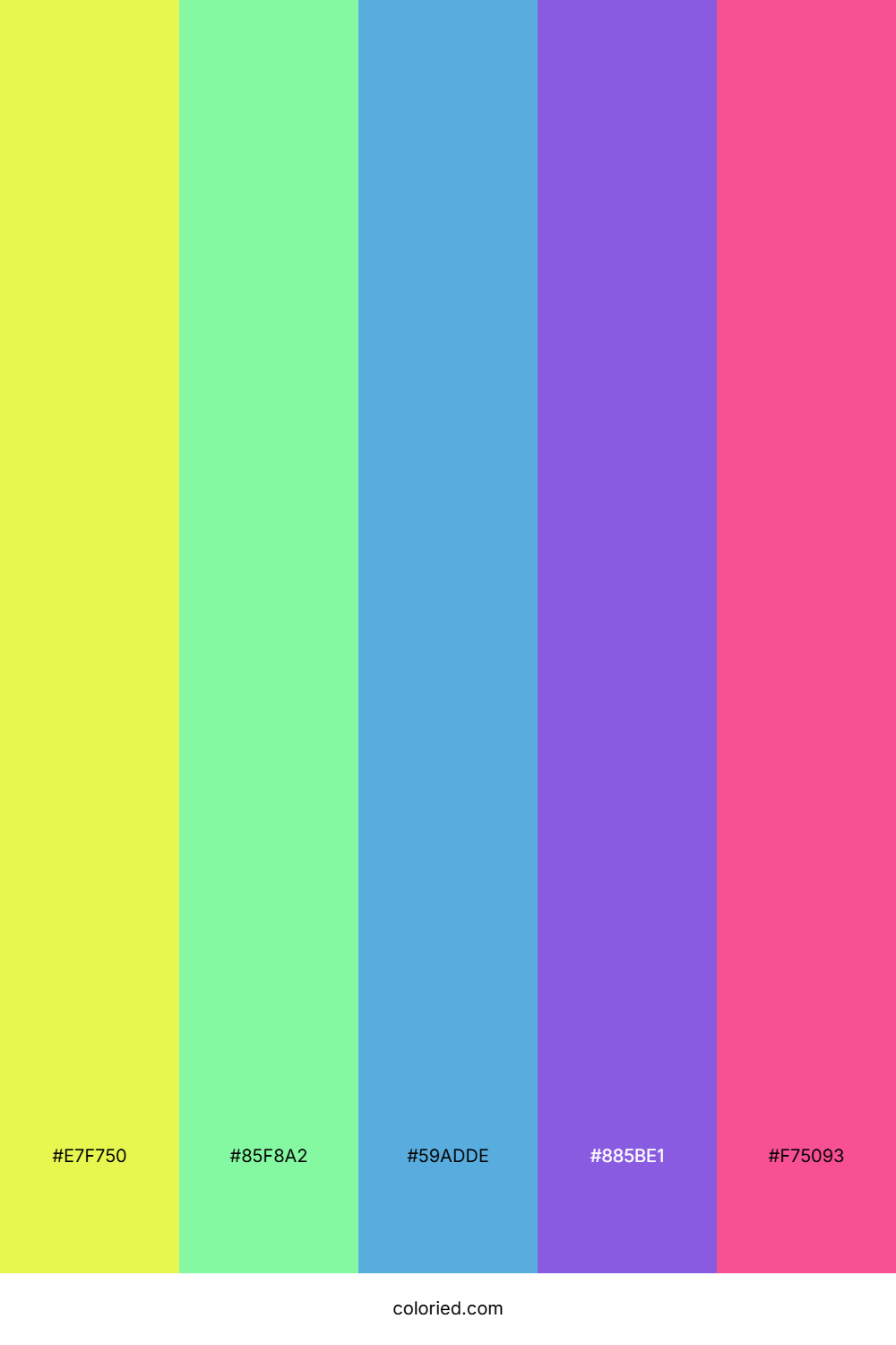 Spring Meadow Twilight Palette