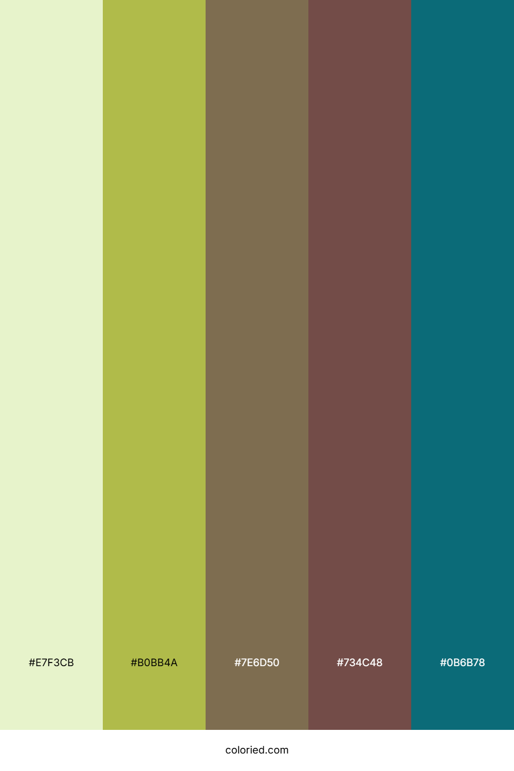Spring Olive Haven Color Palette