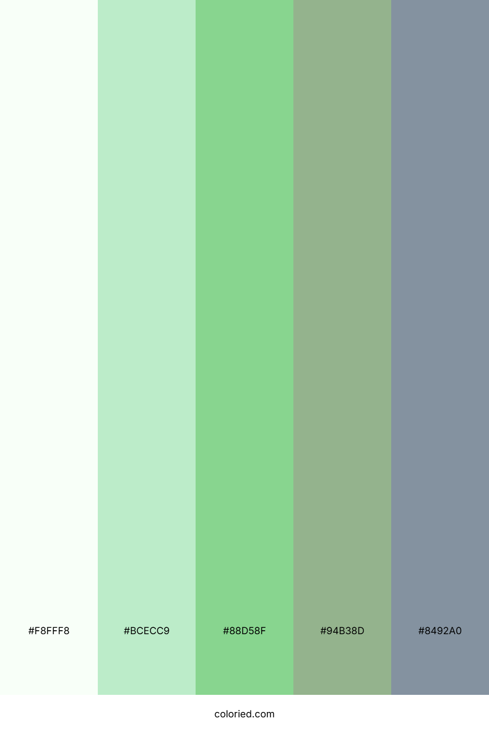 Spring Sage Meadow Palette