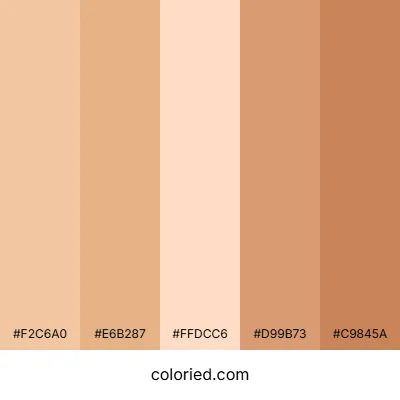 Spring Skin Tone Color Palette