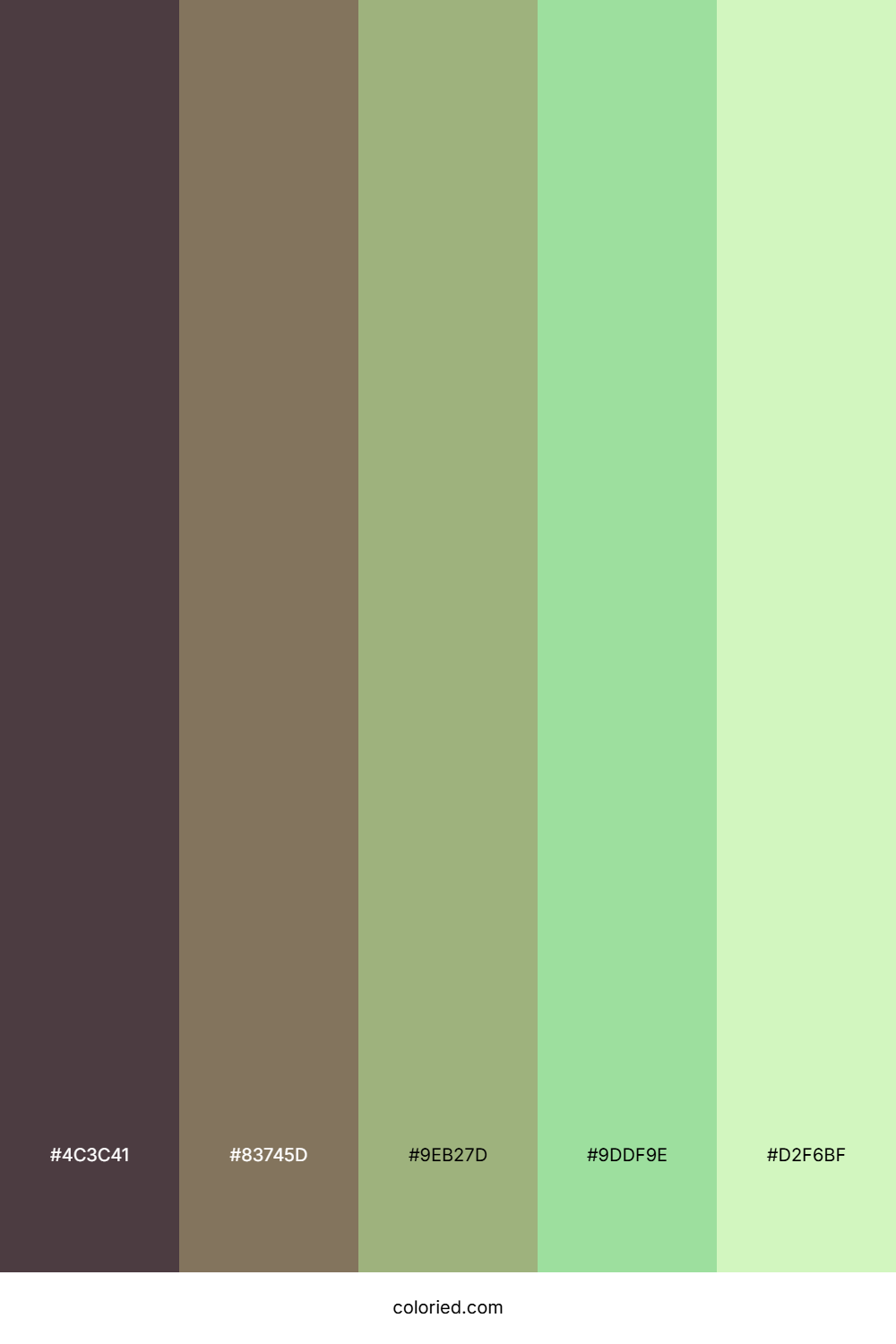 Springtime Mint Grove Color Palette