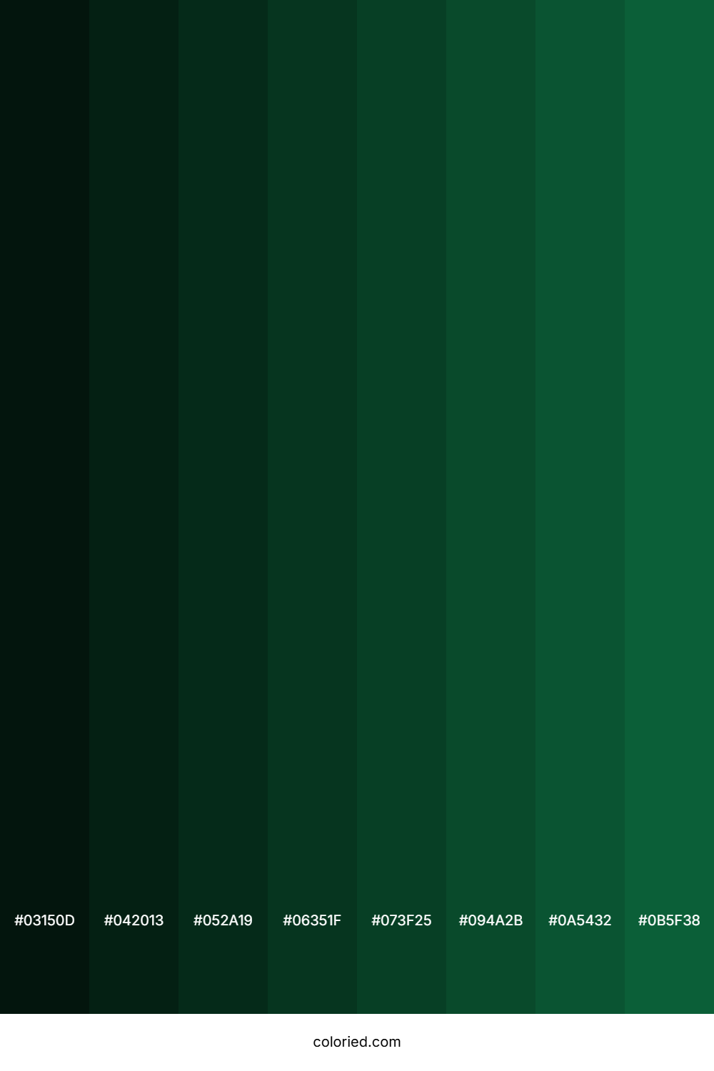 Spruce Color Shades