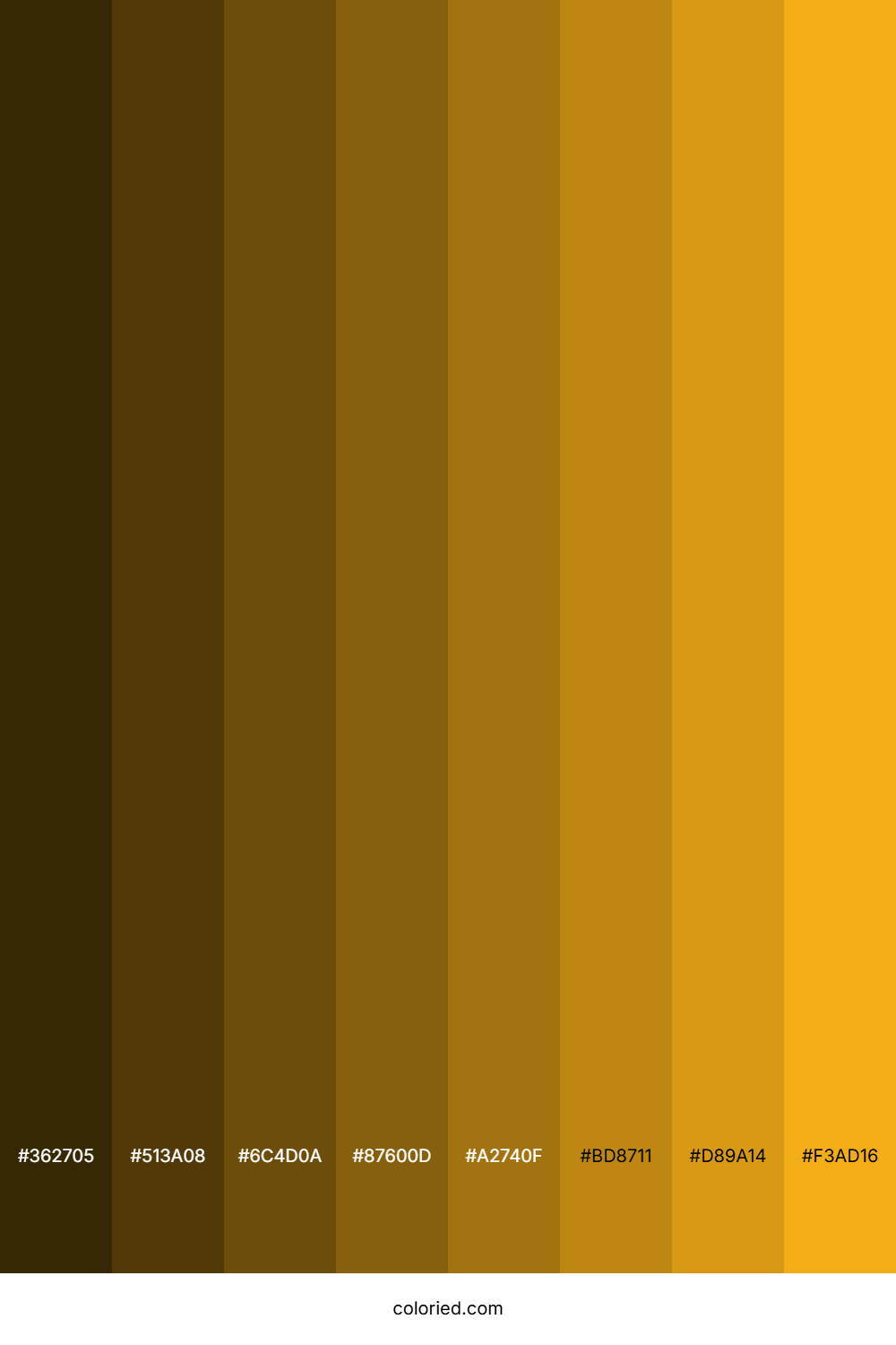 Squash Color Shades