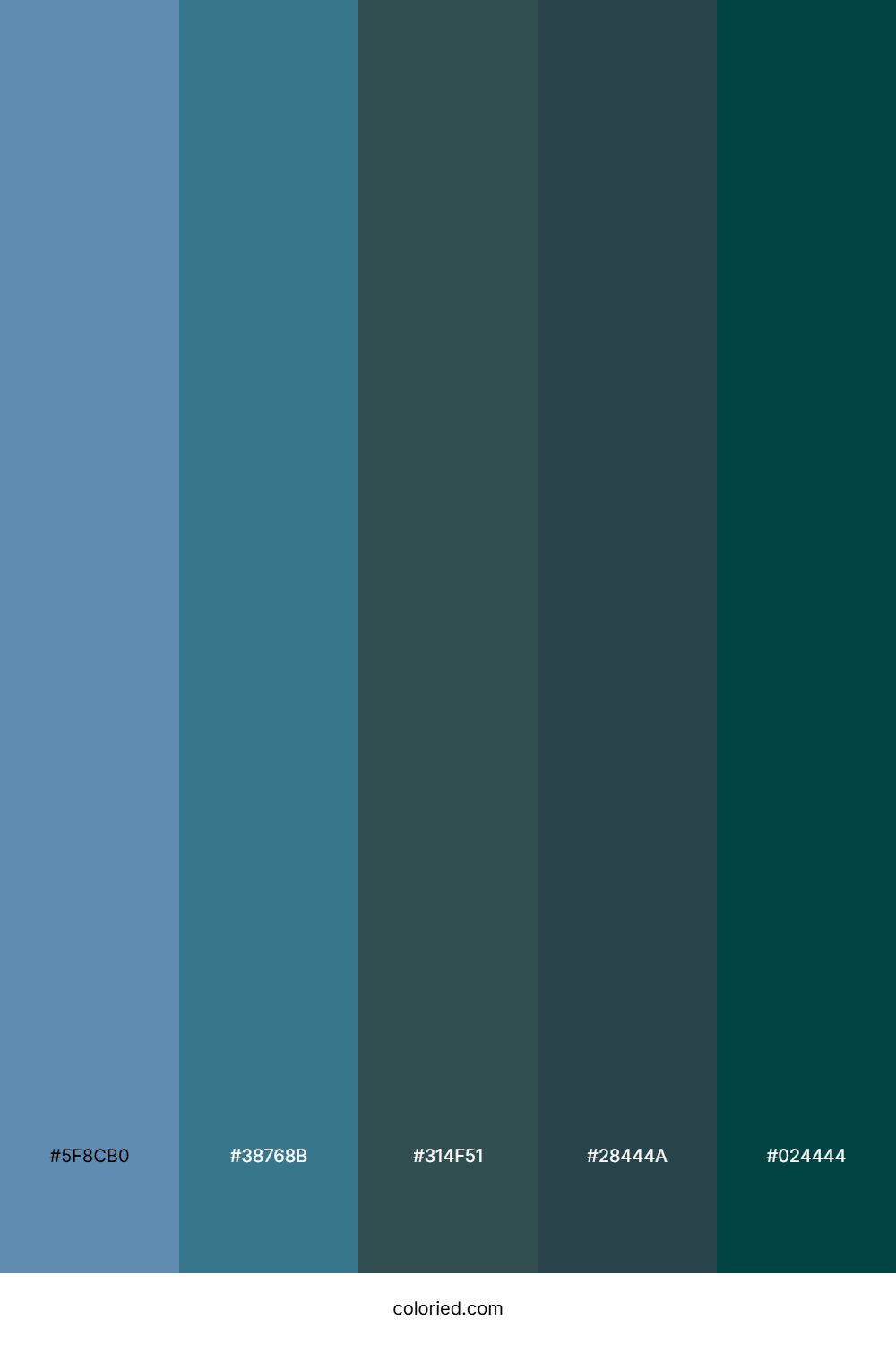 Steel Blue and Dark Teal Color Palette