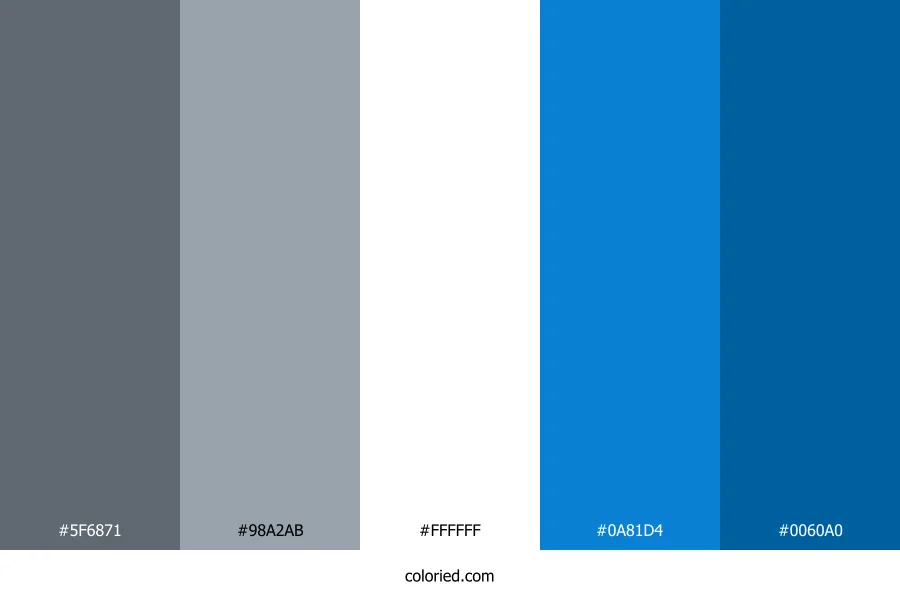 Steel Gray and Cerulean Color Palette
