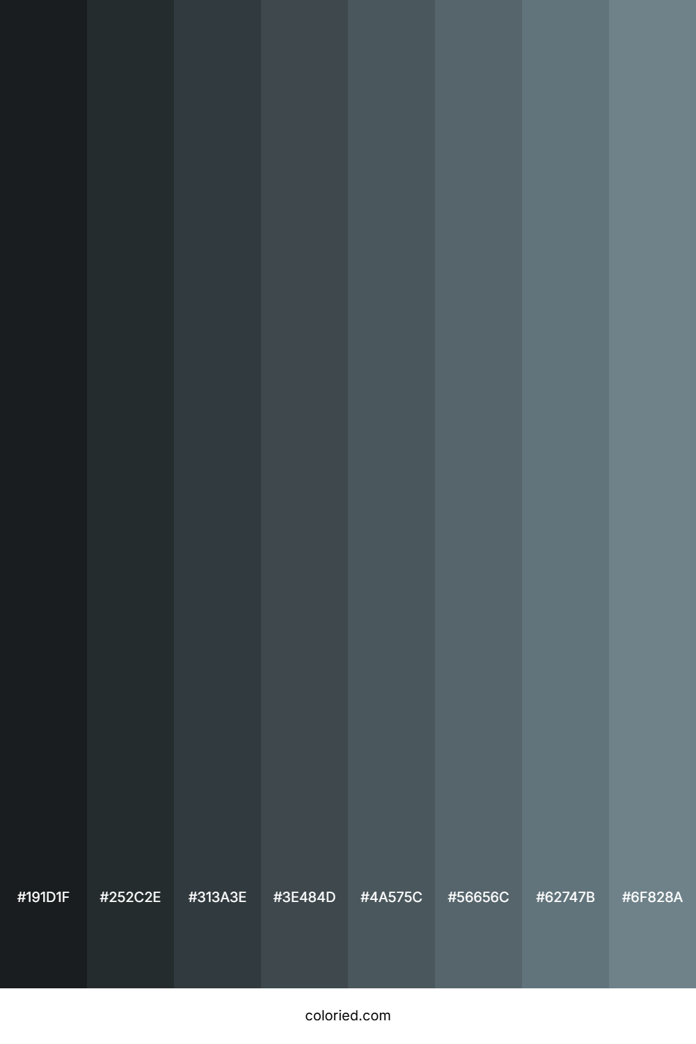 Steel Grey Shades
