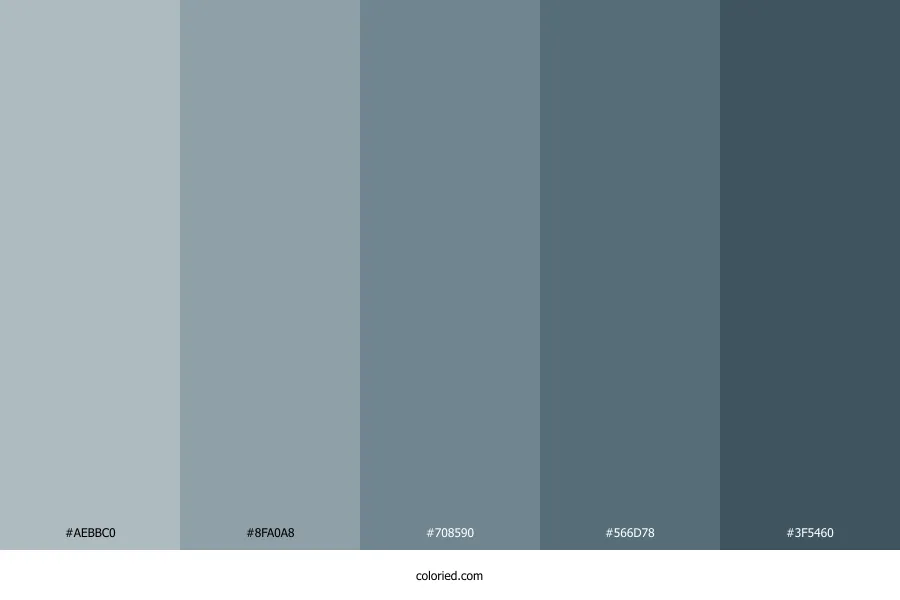 Stone Blue Color Palette