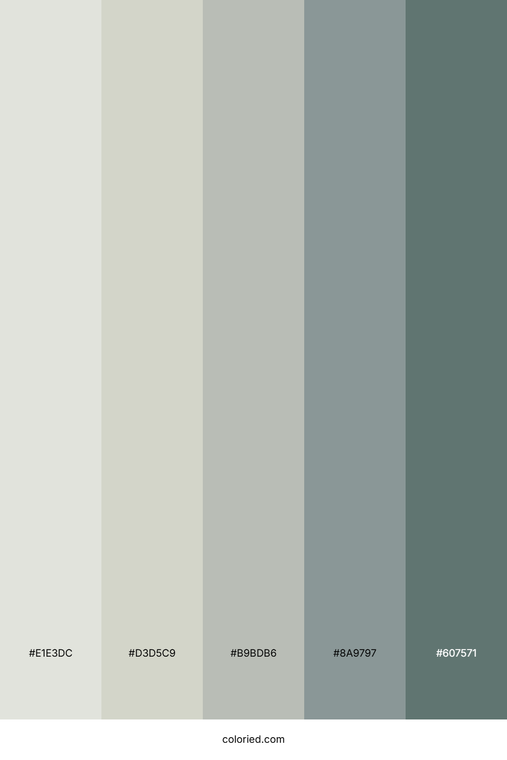 Stone Garden Mist Color Palette