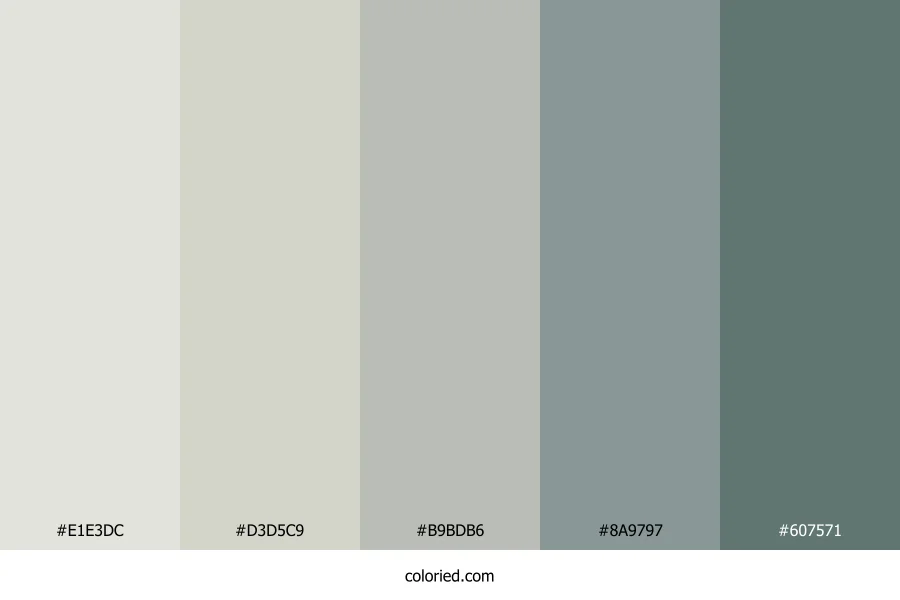 Stone Garden Mist Color Palette