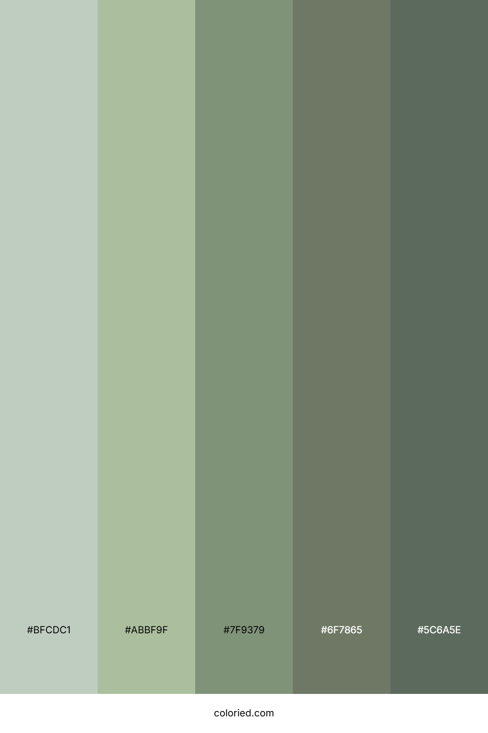 Stone Garden Neutral Color Palette