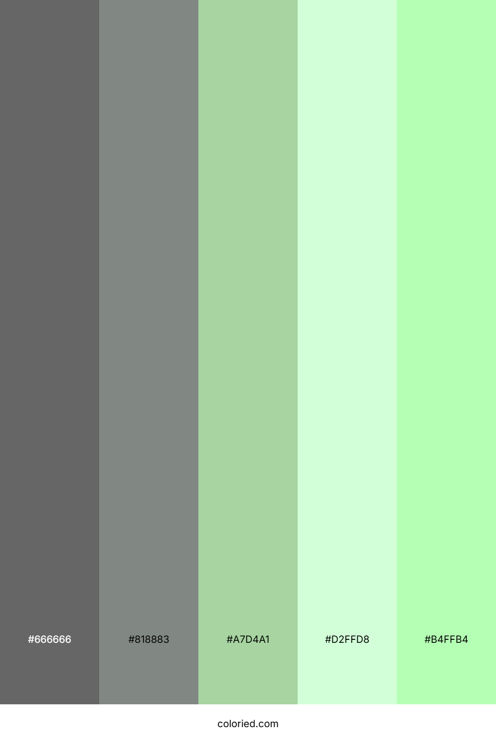 Stone Mint Meadow Color Palette