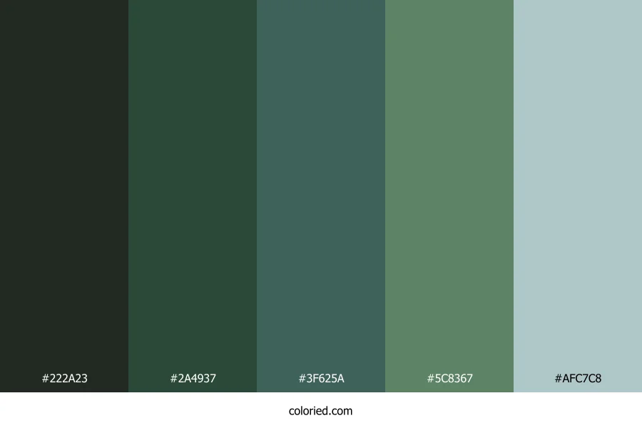 Stone Mint Valley Color Palette