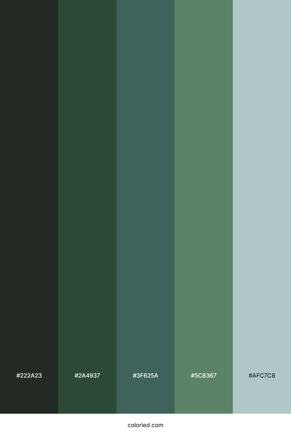 Stone Mint Valley Palette