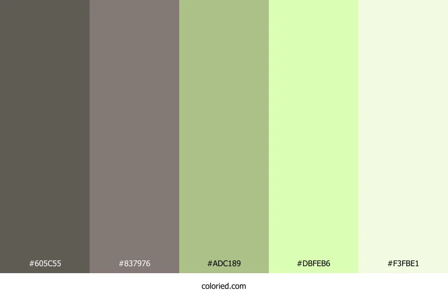 Stone Pine Glade Color Palette