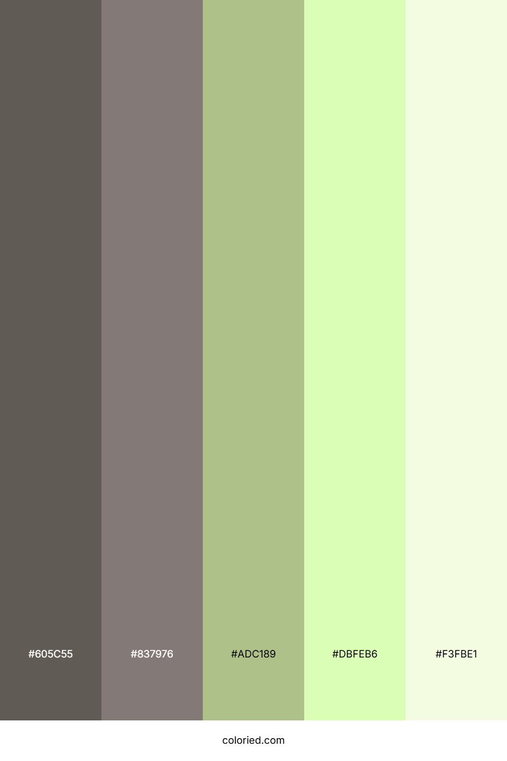 Stone Pine Glade Palette