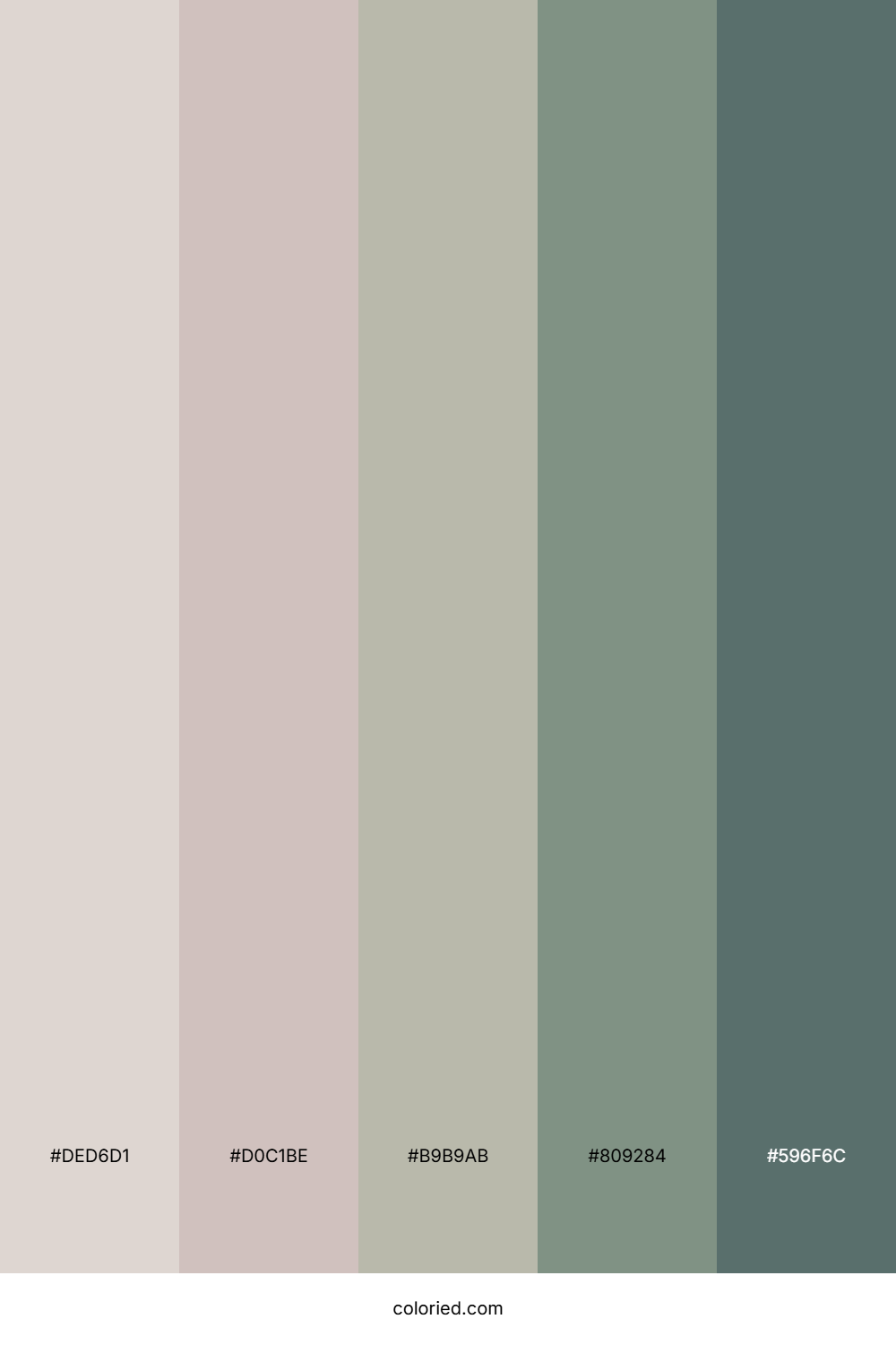 Stone Sage Harmony Palette