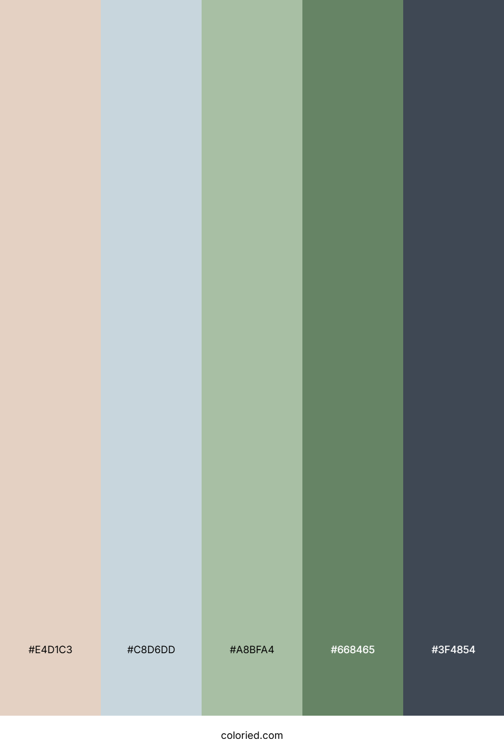 Stone Sage Lagoon Color Palette