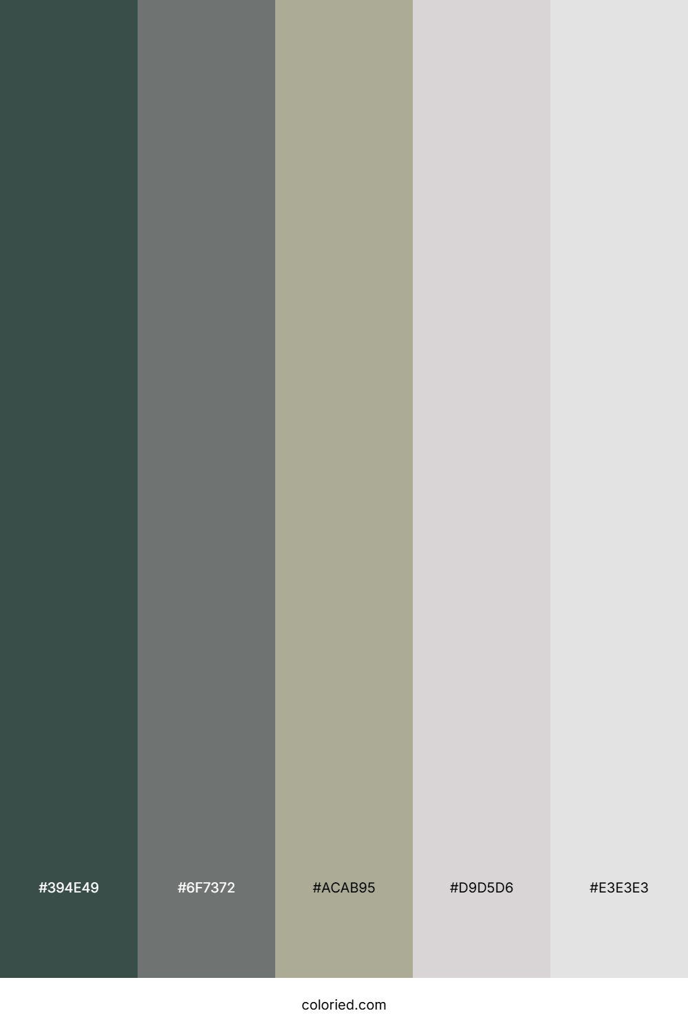 Stone Sage Mist Color Palette