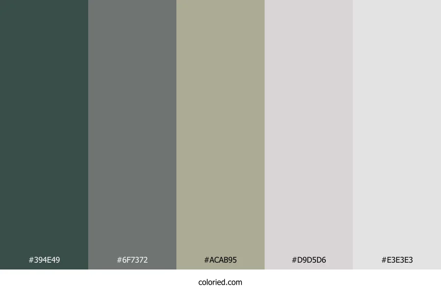 Stone Sage Mist Color Palette