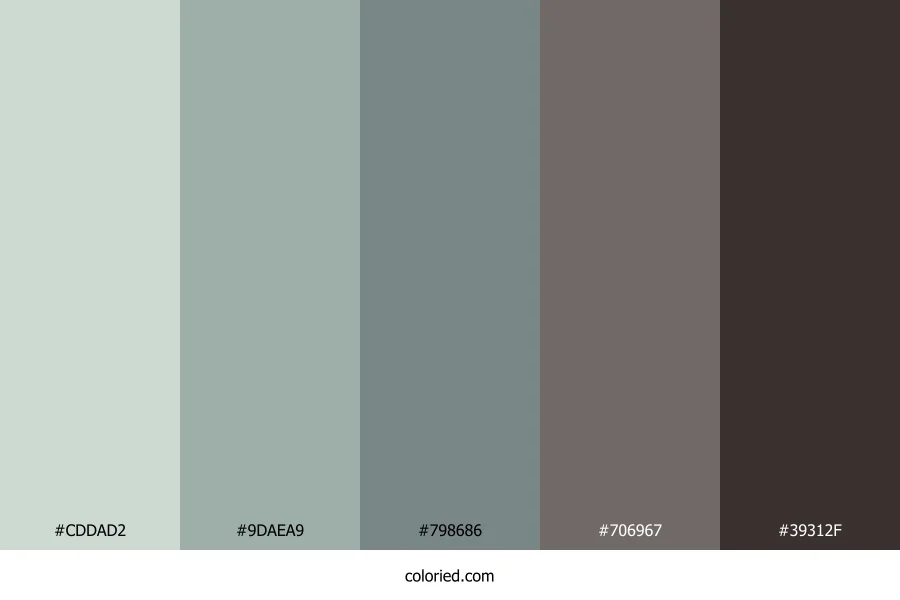 Stone Sage Whisper Color Palette