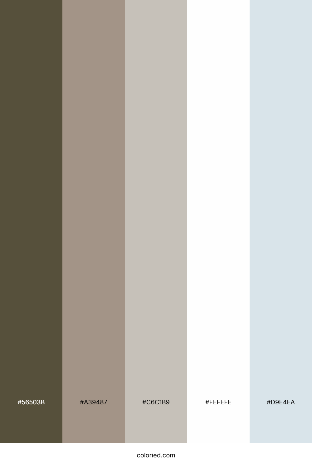 Stone Sand Serenity Color Palette