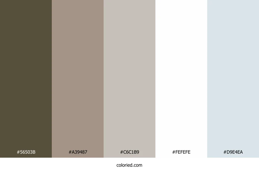 Stone Sand Serenity Color Palette